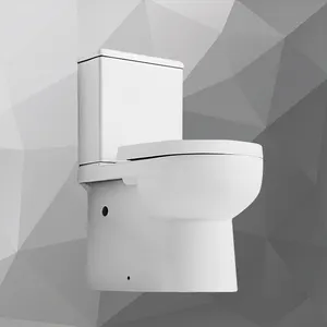 Watermark Dual Flush WC Ceramic two piece wc Good Quality Sanitary Wares
