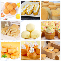 HNOC Équipement de cuisson automatique Petite tasse de pâte à gâteau Éponge de remplissage Machine de production de muffins Déposant