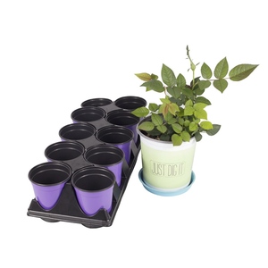 Oferta Especial <span class=keywords><strong>Macetas</strong></span> <span class=keywords><strong>de</strong></span> Plástico Redondas <span class=keywords><strong>para</strong></span> Vivero y Semilleros <span class=keywords><strong>para</strong></span> Suministros <span class=keywords><strong>de</strong></span> Jardinería Doméstica Material <span class=keywords><strong>de</strong></span> PP Varios Tamaños <span class=keywords><strong>para</strong></span> Germinación - Product Image 3