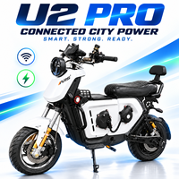 Vélo électrique pour adultes, même plateforme que le LIMING U2 Pro Premium, 1500W/2000W/3000W, batterie au lithium personnalisée, freins à disque hydrauliques, double suspension