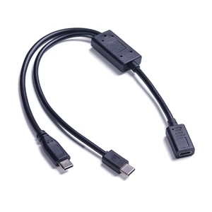 สายแยก USB-C ตัวเมียเป็น USB-C ตัวผู้คู่ พร้อมชิป Smart IC สายอะแดปเตอร์จ่ายไฟแบบ<span class=keywords><strong>ชาร์จ</strong></span>เร็วและชาร์จ<span class=keywords><strong>ช้า</strong></span> สำหรับแล็ปท็อปและโทรศัพท์ - Product Image 1