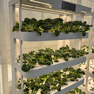 Système de jardinage hydroponique vertical intelligent d'intérieur Skyplant, système d'agriculture domestique intelligent avec composants de moteur et de pompe principaux - Product Image 5