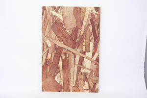 Panel <span class=keywords><strong>OSB</strong></span> de Alta Densidad Resistente a la Humedad, Tablero de Fibras Orientadas Engrosado para Paredes, Techos y Pisos - Product Image 2