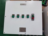 Panneau de commande antidéflagrant Ex Db Eb IP66 IECEx ATEX avec bouton d'arrêt d'urgence pour les installations pétrochimiques et industrielles