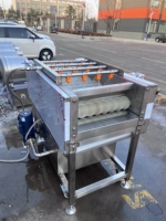 Machine de nettoyage de canne à sucre de qualité alimentaire / Éplucheuse et laveuse automatique de canne à sucre avec certification CE