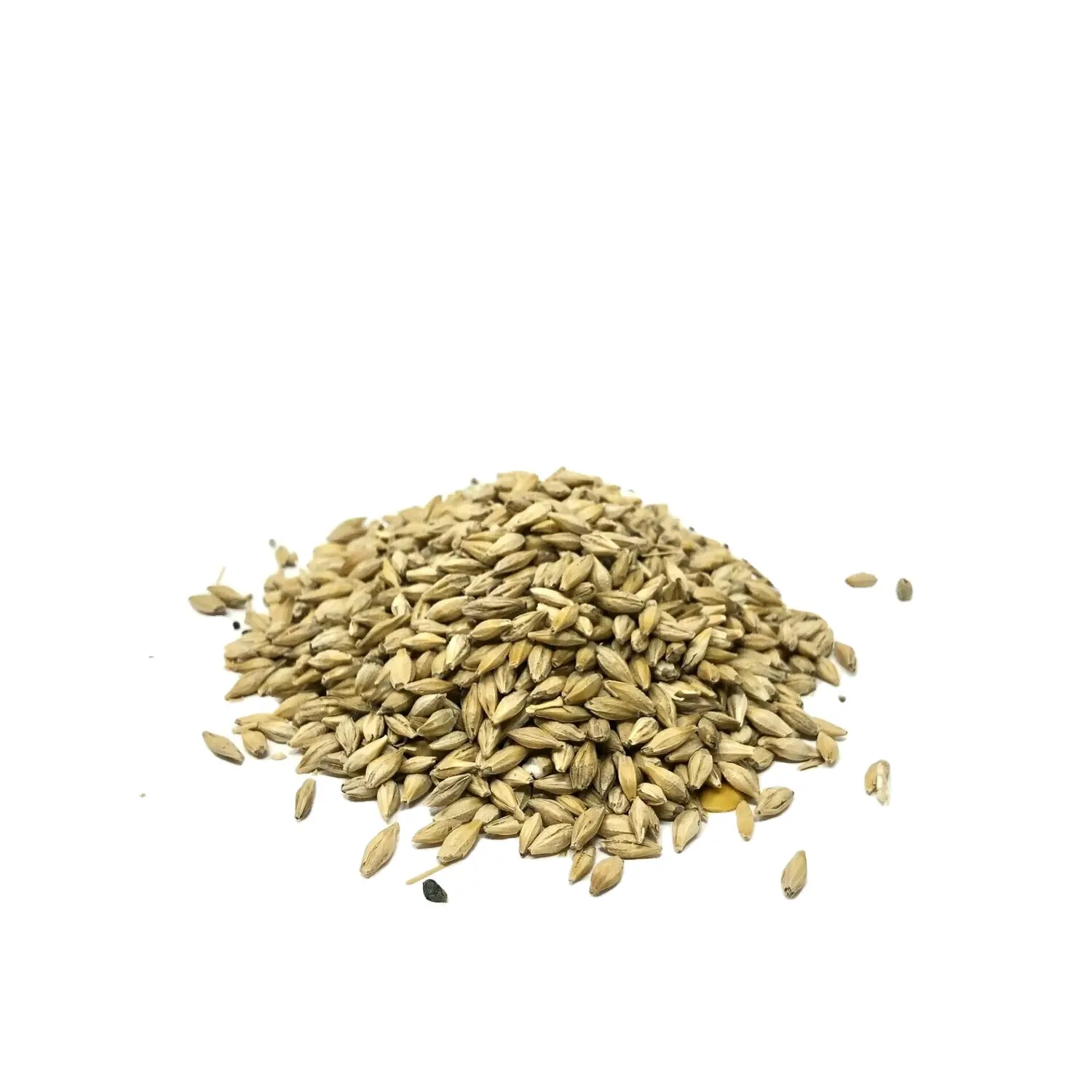 High Quality Organic Barley Grains Malt and Hulled Barley pearl barley groats