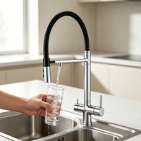 Robinet de cuisine extractible en chrome poli avec pulvérisateur magnétique et filtration d'eau, corps en laiton