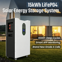 Batería LiFePO4 Portátil de 51.2V 314Ah 16kWh, Diseño de Almacenamiento de Energía Solar, Más de 8000 Ciclos Profundos con BMS Inteligente para Hogar y Exteriores