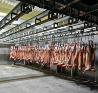 Equipo de Sacrificio de Ovejas para Proyectos Llave en Mano, Línea de Sacrificio de Cabras, Máquina de Sacrificio de Ovejas para Mataderos de Cabras y Corderos
