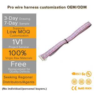 สายไฟรถยนต์ขนาด 2.8 มม. 2/<span class=keywords><strong>3</strong></span>/4/6/9 ขา และรีเลย์ตัวผู้และตัวเมียสำหรับชุดสายไฟรถยนต์ - Product Image 3