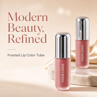 Gloss à lèvres transparent longue tenue naturel en tube, formule mate sans marque pour un look naturel quotidien
