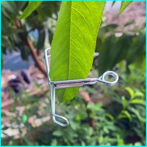 Abrazadera de sujeción para manguera, abrazadera para manguera de látex, abrazadera de sujeción en espiral con resorte, abrazadera en espiral para suministros de laboratorio, abrazadera de sujeción para manguera - Product Image 4