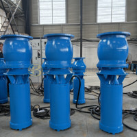 Pompe à eau axiale submersible à grande capacité pour l'irrigation agricole, moteur électrique AC triphasé 50/60Hz, 380V-660V