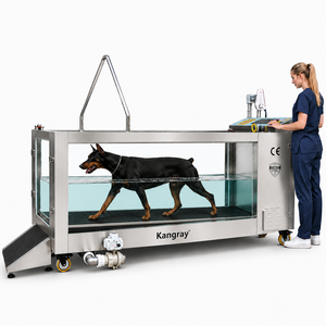 Cinta de correr reversible para uso bajo el agua, con incrementos de velocidad de 0.1 mph y ajuste de inclinación motorizado, para perros - Product Image 1