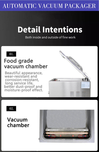 Semi-automatic Stainless Steel <b>Table</b> Food Vacuum Packager, Single Chamber Vacuum Sealer - Product Image 4