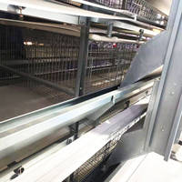 Système de batterie entièrement automatique de type H pour l'élevage de volailles Cages de batterie galvanisées pour poules pondeuses neuves