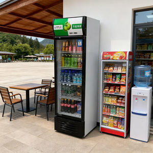 Refrigerador Exhibidor de Cerveza de Alta Gama para 126 Latas, Distribución Global, Precio de Refrigerador para Bar - Product Image 1