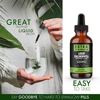 Formule végétale naturelle, saveur menthe, gouttes liquides de chlorophylle de feuilles de mûrier, soutien immunitaire oral pour adultes