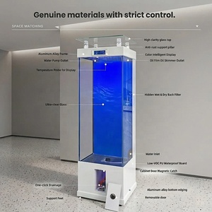 <span class=keywords><strong>Acquario</strong></span> Moderno in Vetro Ultra Trasparente, Design Senza Cornice, Ecologico, Rettangolare di Medie Dimensioni per Ufficio e Casa - Product Image 5