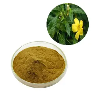 Wholesale Pure Natural Bulk Organic Damiana Leaf Dried Powder