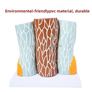 Model kapal darah anatomis tampilan PVC pendidikan 14x pembesaran struktur pembuluh darah - Product Image 5