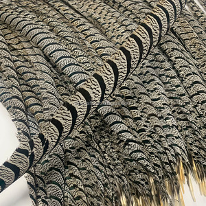 Plumas <span class=keywords><strong>de</strong></span> <span class=keywords><strong>Cola</strong></span> <span class=keywords><strong>de</strong></span> Faisán Zebra Blancas Naturales <span class=keywords><strong>de</strong></span> 90-100 cm, 36-40 Pulgadas, al por Mayor, para Decoración <span class=keywords><strong>de</strong></span> Disfraces <span class=keywords><strong>de</strong></span> Carnaval y Samba - Product Image 4