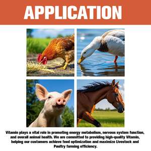 Poudre de vitamine E pour le supplément oral de bétail/volaille pour le porc, instrument vétérinaire d'augmentation de fertilité de couche - Product Image 2