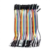 Cable de Conexión de 30 cm, 40 Pines, Macho a Hembra, Color 40P, para RFID, Tipo DuPont