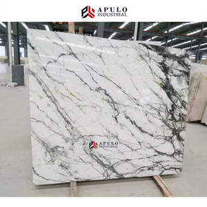 Đá Cẩm Thạch Trắng <span class=keywords><strong>Clivia</strong></span> Trung Quốc Với Các Tấm Gân Xanh Cho Tường Và Sàn Thiết Kế Tấm Đá Cẩm Thạch Trắng Ngọc Bích Phổ Biến Gân Xanh Lan - Product Image 4