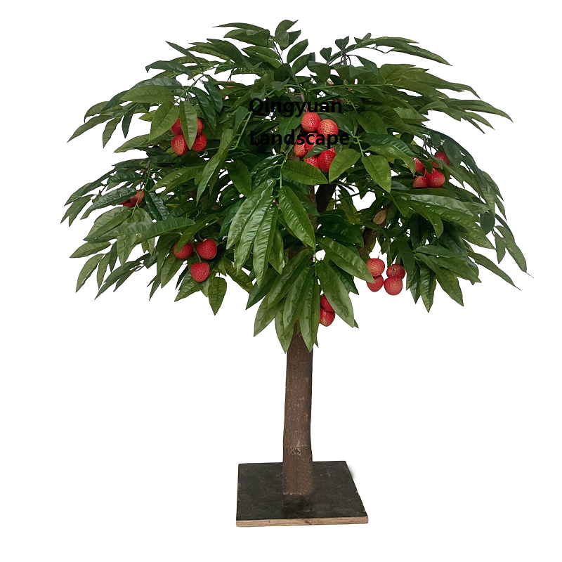 Albero di litchi