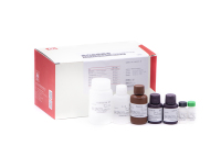 Kit de test antigénique ELISA sandwich ALV pour le virus de la leucose aviaire, haute sensibilité, diagnostic précoce, utilisation aviaire