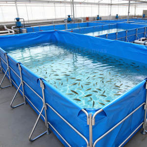 Bac d'aquaculture de qualité industrielle Keyubo 10*3*1.2m : Structure renforcée en tuyaux galvanisés et revêtement en PVC, Fourniture pour projets - Product Image 1