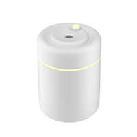 Humidificateur de bureau miniature moderne 180 ml, coffret cadeau de luxe, diffuseur d'arômes à ultrasons USB à brume froide avec lampe douce pour la maison et la chambre