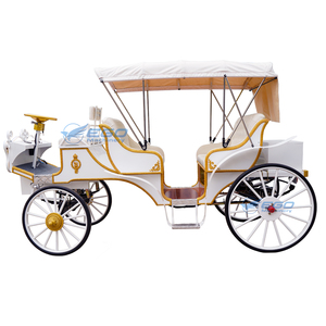 Carrosse de Victoria électrique pour le tourisme et les mariages, transport spécial, prix usine, à vendre - Product Image 2