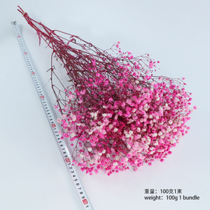 Fleur de Gypsophile Préservée Naturelle Séchée pour Décoration Maison et Mariage – <span class=keywords><strong>Fleurs</strong></span> <span class=keywords><strong>Immortelles</strong></span> Véritables – Support OEM - Product Image 5