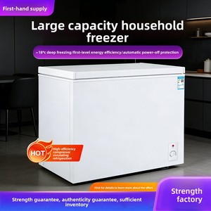 Congélateur coffre horizontal de gros volume, modèle 58426 litres, classe d'efficacité énergétique, unité de réfrigération et de congélation compacte - Product Image 4