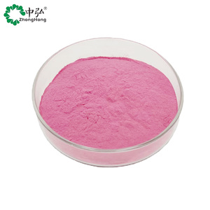 Bulk Wateroplosbaar Natuurlijk Puur Granaatappelconcentraat Vruchtensap Poeder - Product Image 3