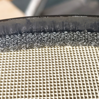Filtro ceramico a nido d'ape per Mazda Demio E300 Bluetec ibrido DPF EGR DTC Software di rimozione strumento essenziale per la manutenzione del motore