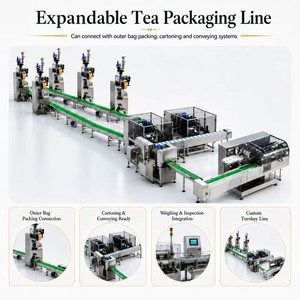 Machine d'emballage automatique de sachets de thé en PLA Machine d'emballage de sachets de thé en triangle pyramide avec <span class=keywords><strong>enveloppe</strong></span> extérieure - Product Image 6