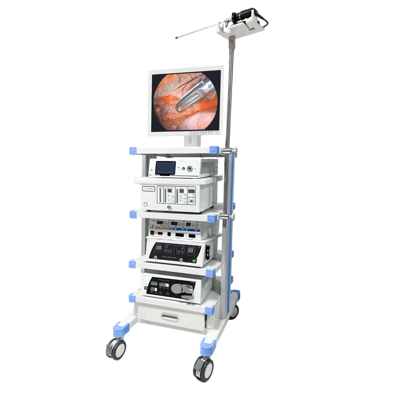 Veterinary Diagnostic Equipment Floor mounted Dynamic