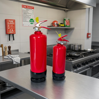 Extincteur compact à poudre sèche ABC de 1 kg et 2 kg, équipé d'une valve conforme à la norme CE, outil de protection incendie d'urgence pour voiture