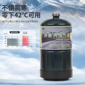 Bouteille de propane Wild Deer 450g, gaz portable pour camping en extérieur, combustible pour réchauds d'altitude - Product Image 2