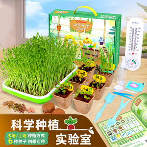 Kit de culture de légumes DIY pour enfants et adolescents, laboratoire scientifique de plantation, ensemble de jouets éducatifs de biochimie avec germination - Product Image 3
