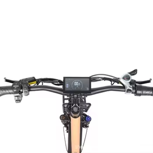 20" Fat Tire <b>Bike</b> Adults 500W Low Frame Rear <b>Seat</b> Rack Comfort Leisure City Family Use 7-Speed Electronic Zxc-278 Rear Hub Motor - Product Image 4