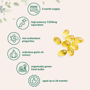 Extrait d'ail en gros d'usine, ail sans odeur, 300 gélules molles, extrait d'ail vieilli, densité osseuse améliorée, OEM disponible - Product Image 3