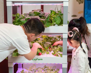 Balcón Vegetales Cultivo <span class=keywords><strong>Casero</strong></span> Vertical Hidropónico Maceta Torres - Product Image 3