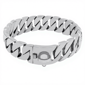 ปลอกคอสุนัขขนาดใหญ่ 32 มม. ทำจากสแตนเลสเคลือบทอง ไทเทเนียม สไตล์ฮิปฮอป พร้อมตัวล็อคแบบก้ามปู ใช้ได้ทุกฤดู - Product Image 3