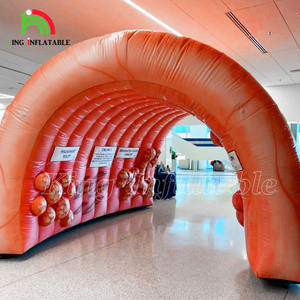Túnel Inflable de <span class=keywords><strong>Colon</strong></span>, Órgano Intestinal Grande, para Exhibiciones Médicas, Eventos Hospitalarios y Centros Médicos - Product Image 3