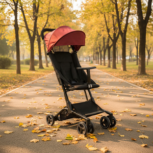 Cochecito de Bebé 2 en 1 al por Mayor, Cochecito Ligero Plegable Bidireccional para Recién Nacidos y Niños Pequeños - Product Image 1