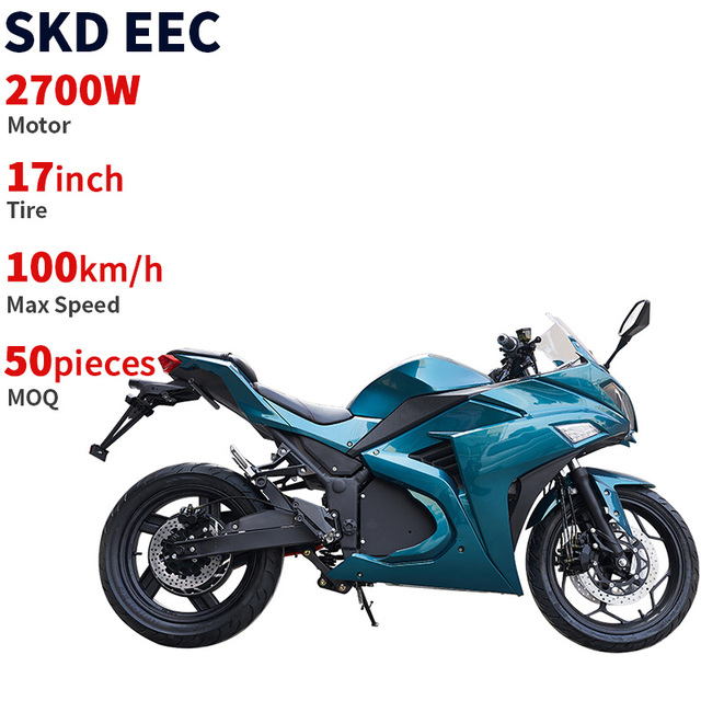 CKD EEC 17inch 2-wheel Electric Motorcycle 2700W 100km/H Speed Best Selling Electric Motorcycle for India